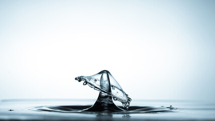 Wall Mural - close-up of a water drop falling on water surface