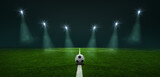Fototapeta Sport - textured soccer game field -ball in the center, midfield