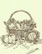 Hand drawn fresh vegetables in wicker basket. Template for your design works. Engraved style illustration.
