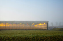 Netherlands, Gelderland, Brakel, Illuminated Greenhouse In Foggy Field