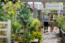 Australia, Melbourne, Two Women Walking On Path At Community Garden