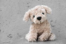 Funny Cute Plush Dog On A Grey Background