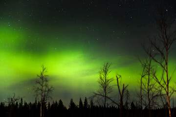 Wall Mural - northern lights and clouds in northern sweden
