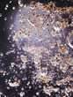 Reflected light microscopy of house dust sample
