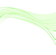 Abstract Green Wavy Lines. Abstract Template Background