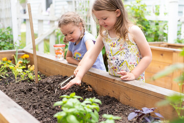 Two little girls digging in the garden