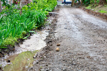 Erosion Of A Dirt Road After Heavy Rain In An Urban Area.