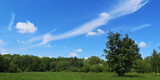 Fototapeta Tęcza - Lang gezogene Wolke über den Bäumen
