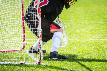 Sticker - Lacrosse Themed Photo, American Sports