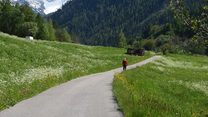 Poster - strada camminare natura passeggiata pensionato 