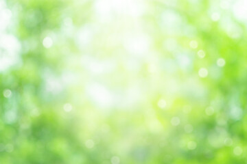 Green blurred natural background. Abstract summer background with bokeh