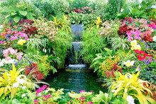 Stunning Garden With Waterfall
