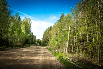 Wall Mural - The road among the Karelian taiga. Pine forest on the side of the road. Trip to Karelia. Highway among the trees. Driving on a trip to beautiful places. Karelia. Day.