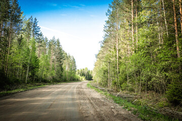 Wall Mural - The road among the Karelian taiga. Pine forest on the side of the road. Trip to Karelia. Highway among the trees. Driving on a trip to beautiful places. Karelia. Day.