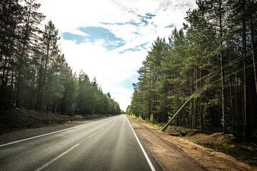 Wall Mural - The road among the Karelian taiga. Pine forest on the side of the road. Trip to Karelia. Highway among the trees. Driving on a trip to beautiful places. Karelia. Day.