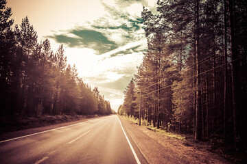 Wall Mural - The road among the Karelian taiga. Pine forest on the side of the road. Trip to Karelia. Highway among the trees. Driving on a trip to beautiful places. Karelia. Day.