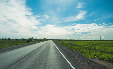 Wall Mural - The road among the Karelian taiga. Pine forest on the side of the road. Trip to Karelia. Highway among the trees. Driving on a trip to beautiful places. Karelia. Day.