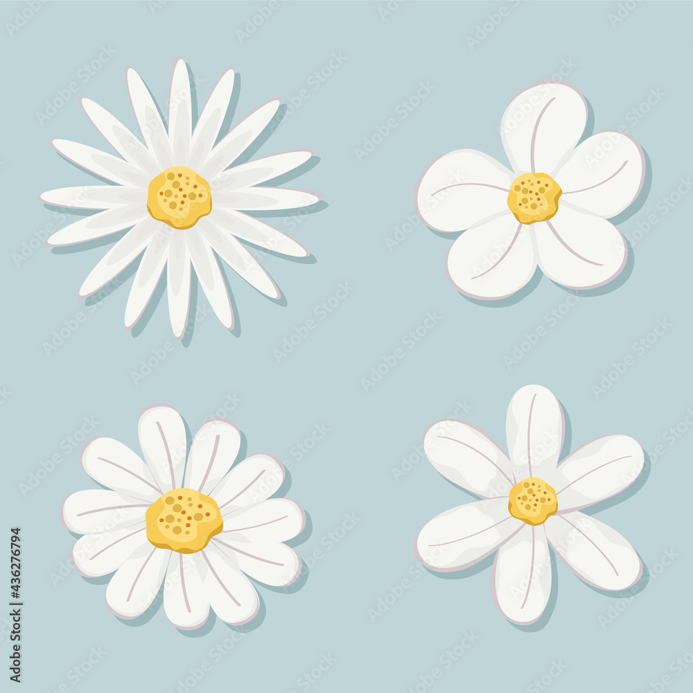 set of flowers with white leaves - obrazy, fototapety, plakaty 