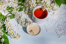 Spring Still Life With Bird Cherry Flowers, Herbal Tea And Honey Cream. Horizontal Photo In Vintage Style.