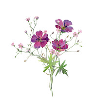 Watercolor Bouquet Of Pink Wildflowers On A White Background