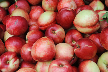 close up on fresh peach as food background