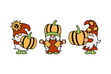 Three Gnomes With Pumpkins, Sunflower And Fall Leaves Are On White Background. Vector Illustration.