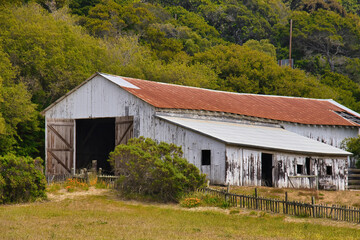 Andrew Molera state park, Big Sur, hiking, California, landscape, mountain, nature, sky, autumn, forest, mountains, fall, green, blue, tree, view, hill, trees, cloud, valley, clouds, yellow, hills