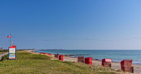 Wall Mural - Schönhagen Strand an der Ostsee