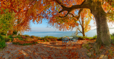 herbst auf der insel mainau