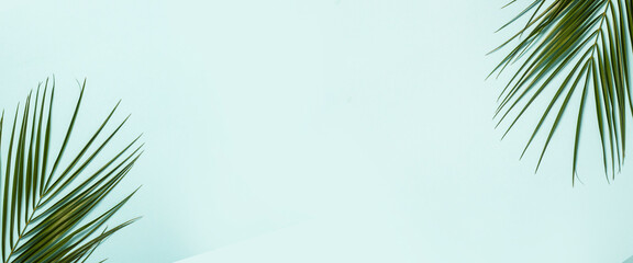 Branch of a palm tree on a light blue background. Summer wallpaper. Banner. Flat lay, top view