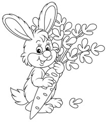 Wall Mural - Happy little bunny with a ripe tasty carrot from a summer vegetable garden, black and white outline vector cartoon illustration for a coloring book page