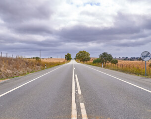 Sticker - Country road to the horizon in the beautiful countryside under the clouds in Portugal