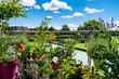 Blooming summer balcony with bright flowers and garden decorations against a bright blue sky, selective focus. Potted flowers and plants on the sunny terrace.