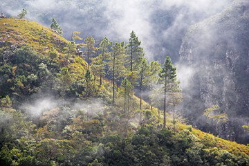 Sticker - fog in the mountains