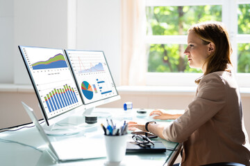 Poster - Analyst Woman
