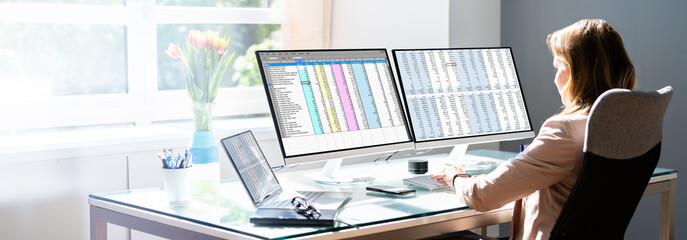 Poster - Analyst Employee Working With Spreadsheet