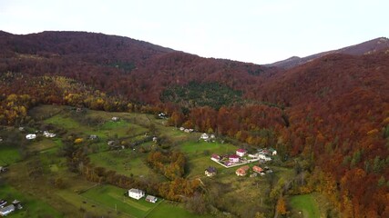 Wall Mural - Aerial view of a rural village with small houses between autumn mountain hills covered with yellow and green pine trees.