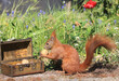 Eichhörnchen zwischen Blumen an einer Holztruhe