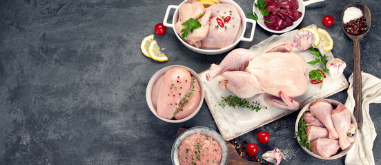 Raw chicken meat parts with spices and herbs for cooking on dark background.