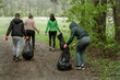 A group of volunteers with garbage bags are cleaning the forest.