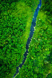 Fototapeta Natura - Blooming algae on the river. Aerial view of wildlife.