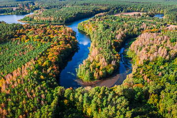 Curvy river in autumn. Aerial view of wildlife, Poland.