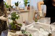 Plants for Terrarium. Terrarium Plants. Florarium. Miniature Botanical Horticulture Grow. Making Terrarium workshop
