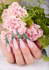 Wall Mural - Hand with long artificial green french manicured nails and pink rose flowers. Fashion and stylish manicure.