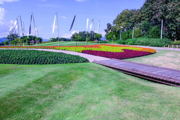 Poster - Beautiful Park in Chiang Rai Province