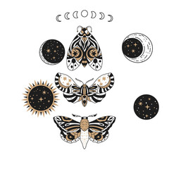 Wall Mural - boho butterfly, sun and moon vector set. beautiful moth vector magic ornament, celestial element ill