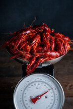 Crawfish On A Kitchen Scale