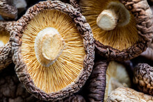 Closeup Of Dried Mushrooms