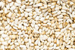 background - many safflower seeds