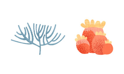 Poster - Algae Seaweeds Set, Underwater Tropical Sea Plants Cartoon Vector Illustration
